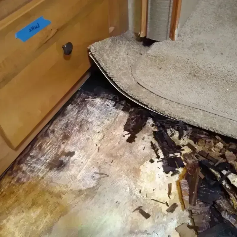 Wood Floor Water Damage in Rush Springs, OK